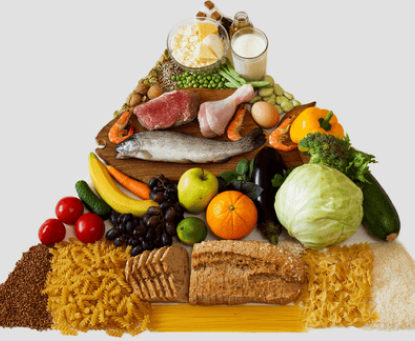 Khối lượng dinh dưỡng cần thiết cho một cơ thể trưởng thành là bao nhiêu